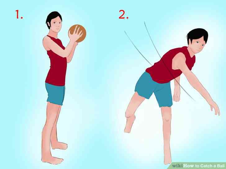 Image intitulée Attraper une Balle à l